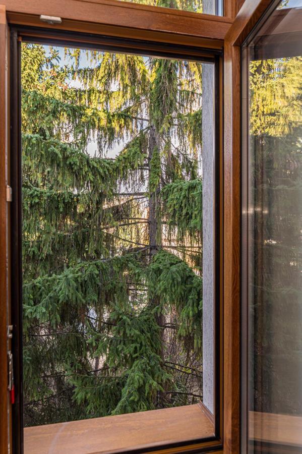 Chic&View Brasov Apartment Eksteriør bilde